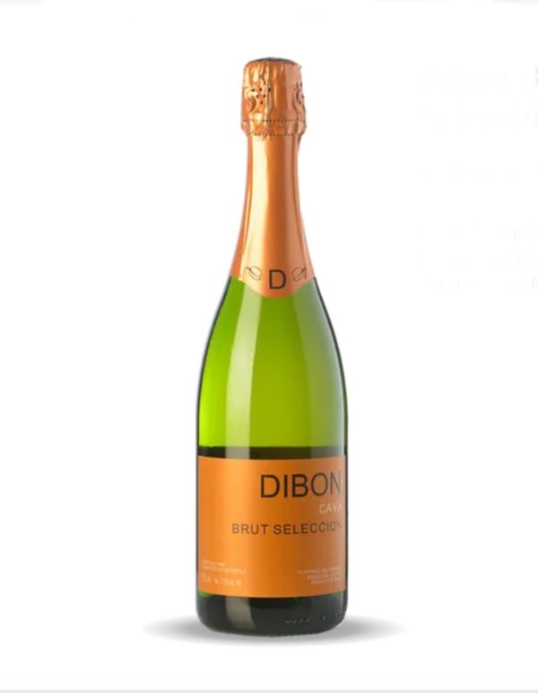 CAVA DIBON BRUT SELECCION MAGNUM (1.5L) - PINORD