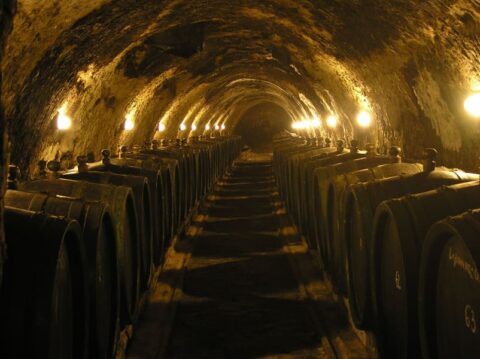 bodega de vinos tokaji